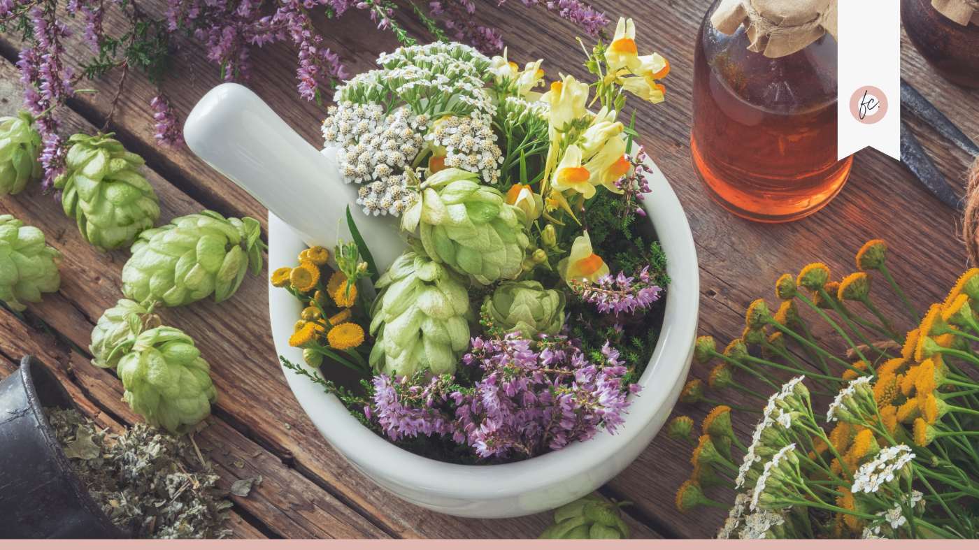 Netzwerktreffen mit Impulsvortrag: Kräuterwissen mit Barbara Schulz